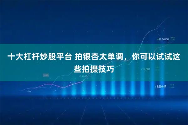十大杠杆炒股平台 拍银杏太单调，你可以试试这些拍摄技巧